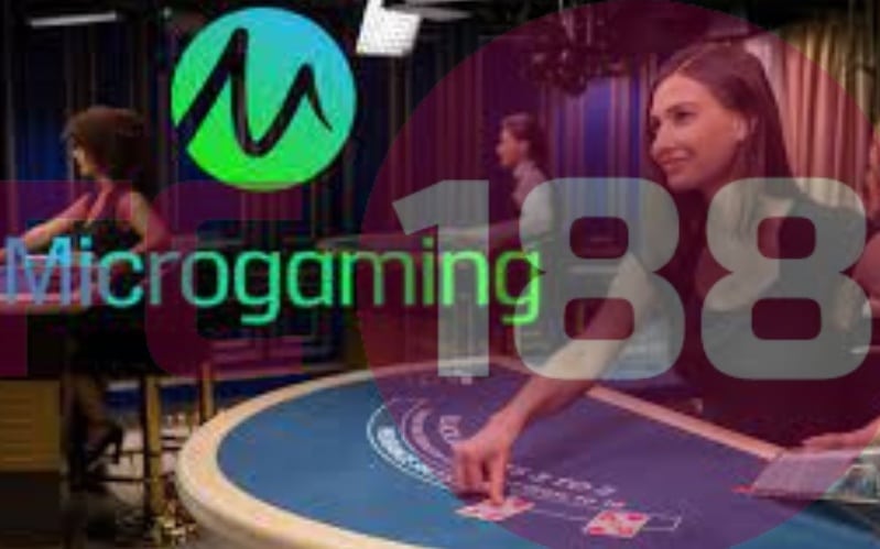 What is Microgaming?