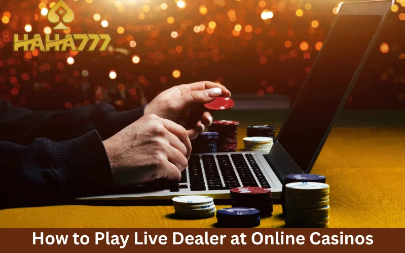 live dealer at online casinos